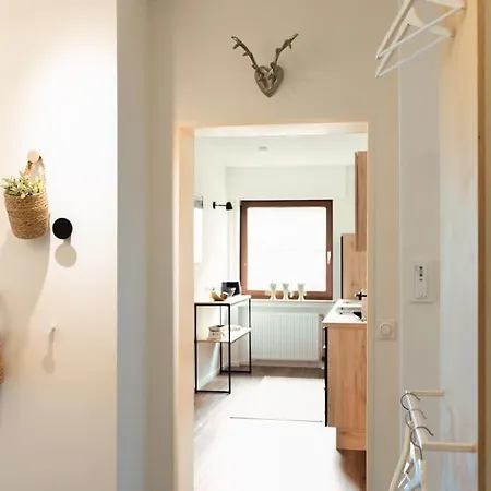 Apartment Frodl Astenambiente In Winterberg